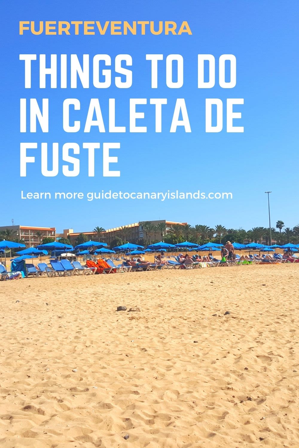 shark Write out Because 17 BEST Things To Do in Caleta de Fuste, Fuerteventura