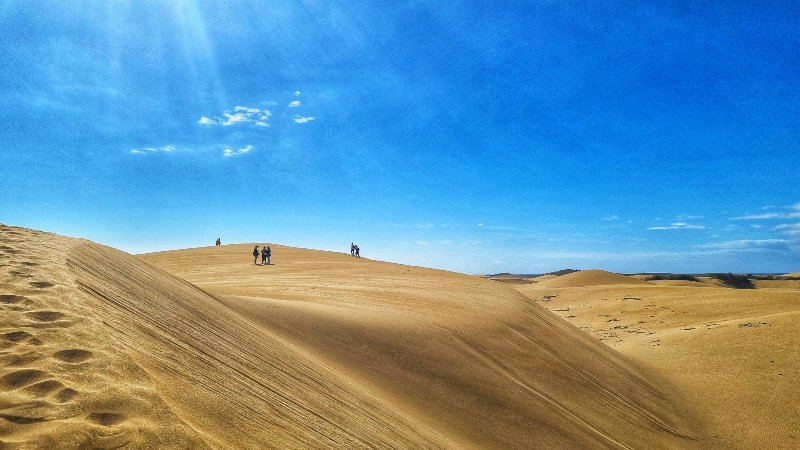 Sand Dunes play an important role
